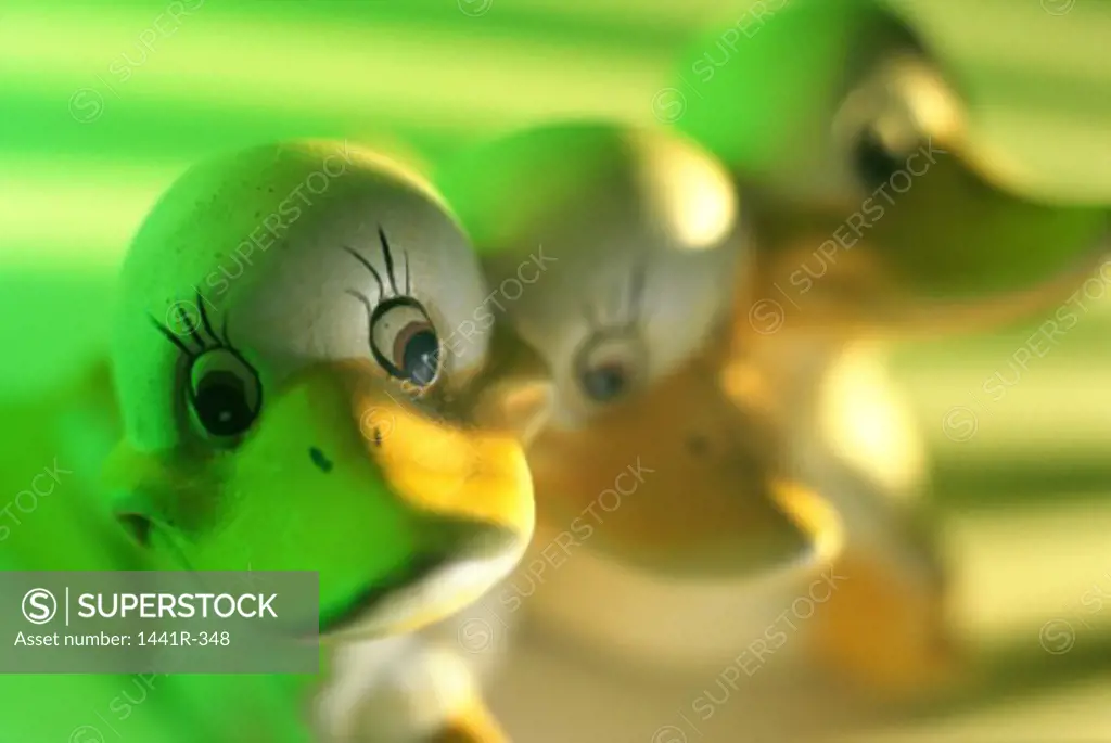 Close-up of three rubber ducks