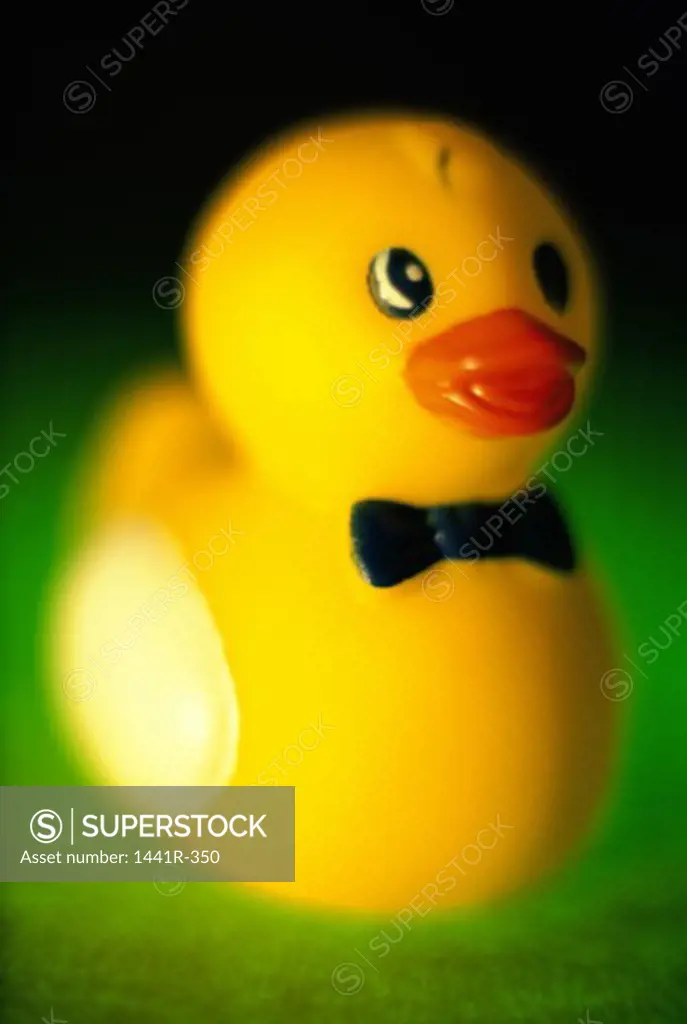 Close-up of a rubber duck