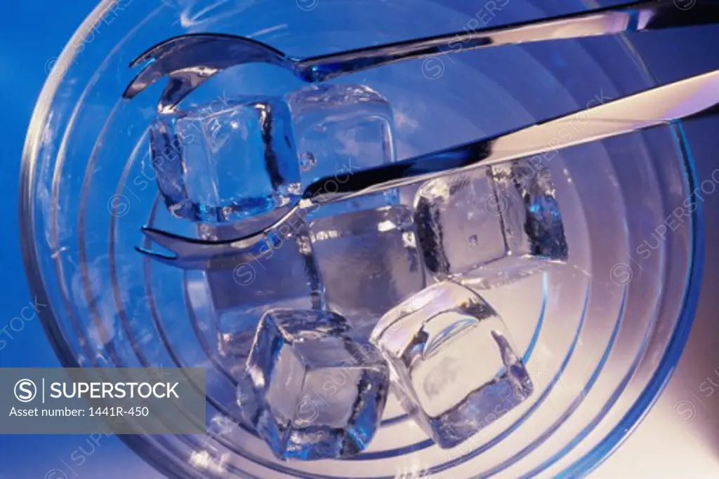 Ice cubes in an ice bucket with tongs