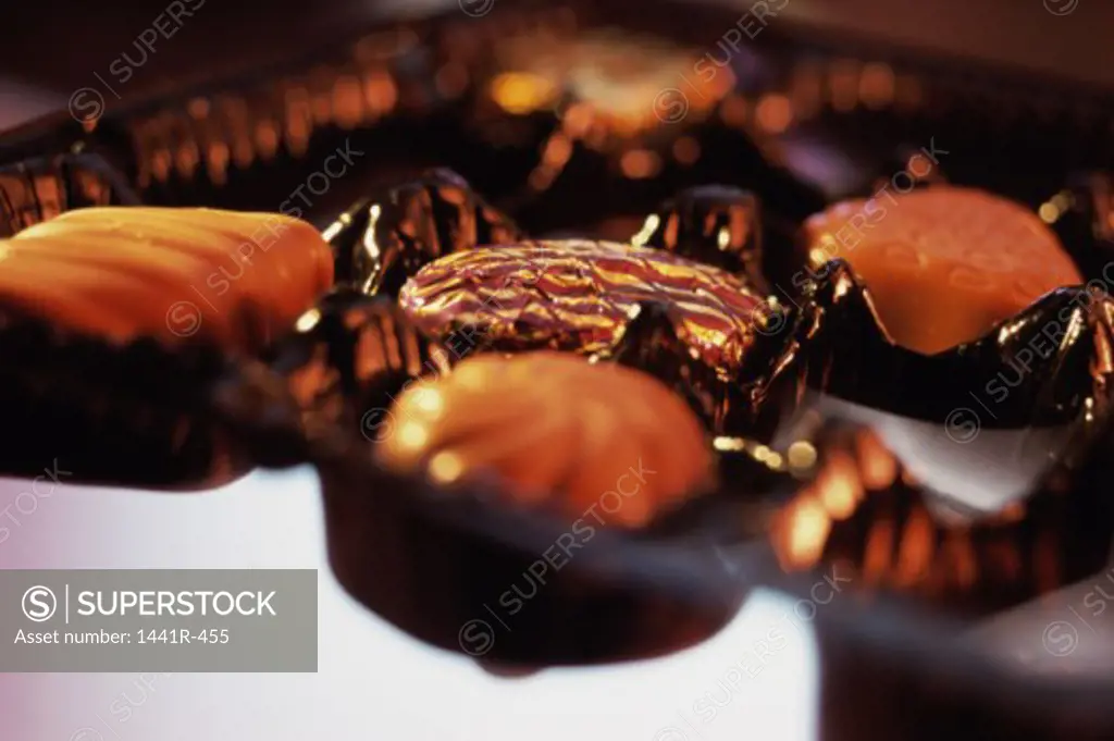 Close-up of gourmet chocolates on a tray