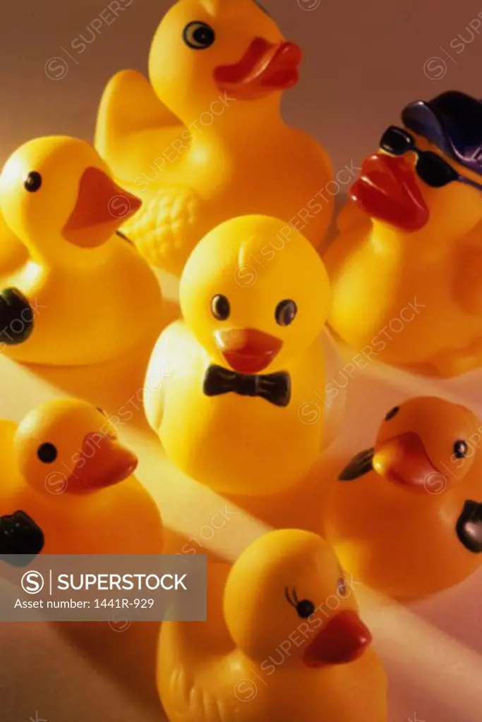 High angle view of rubber ducks