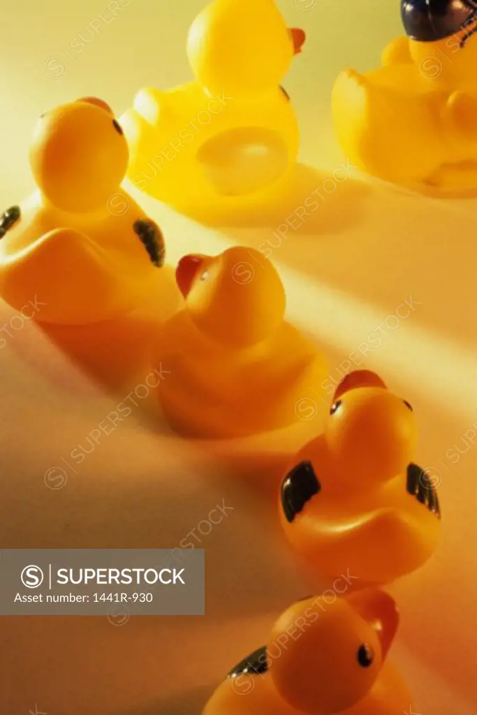 High angle view of rubber ducks