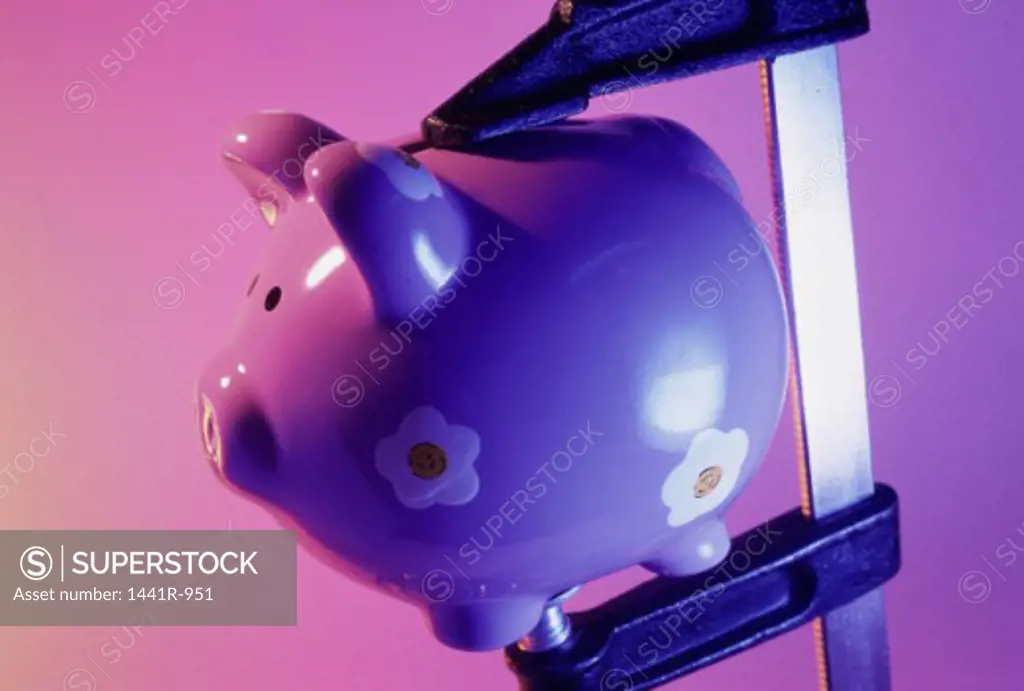 Piggy bank on a clamp