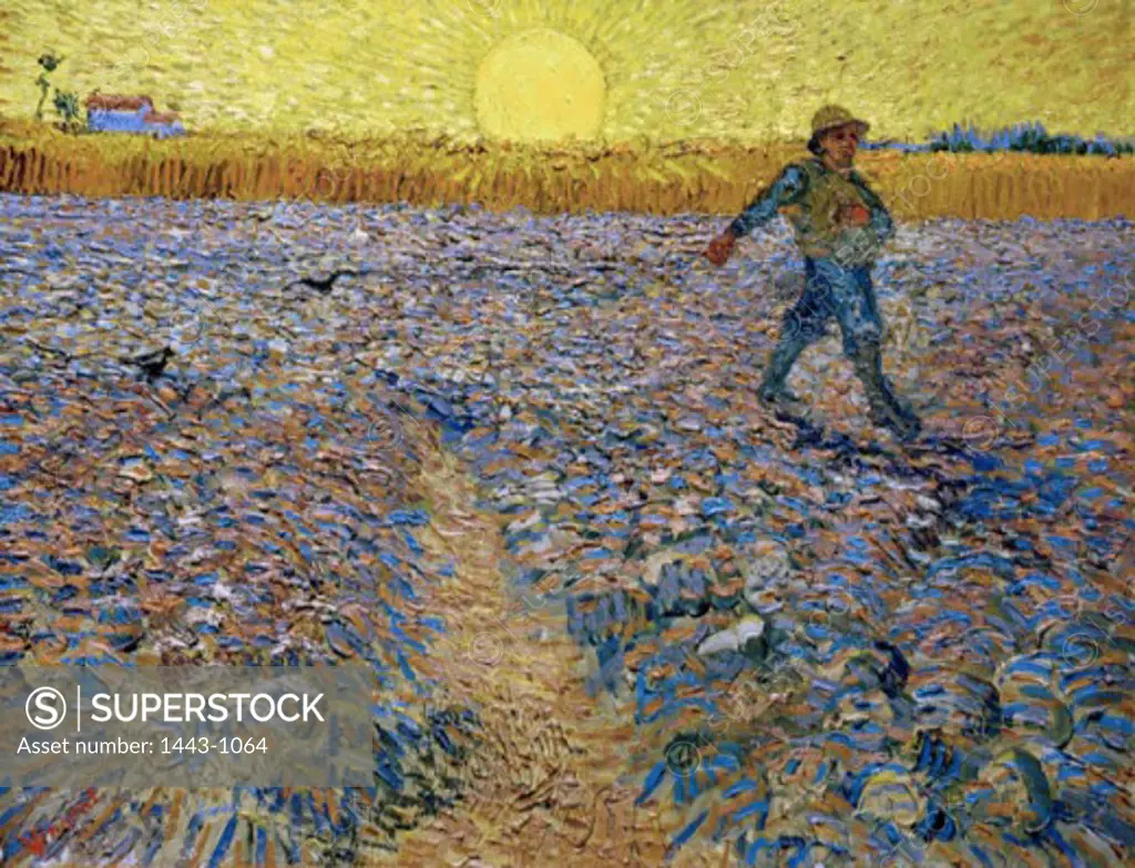 The Sower 1888 Vincent van Gogh (1853-1890 Dutch) Oil on canvas Kroller-Muller Museum, Otterlo, Netherlands