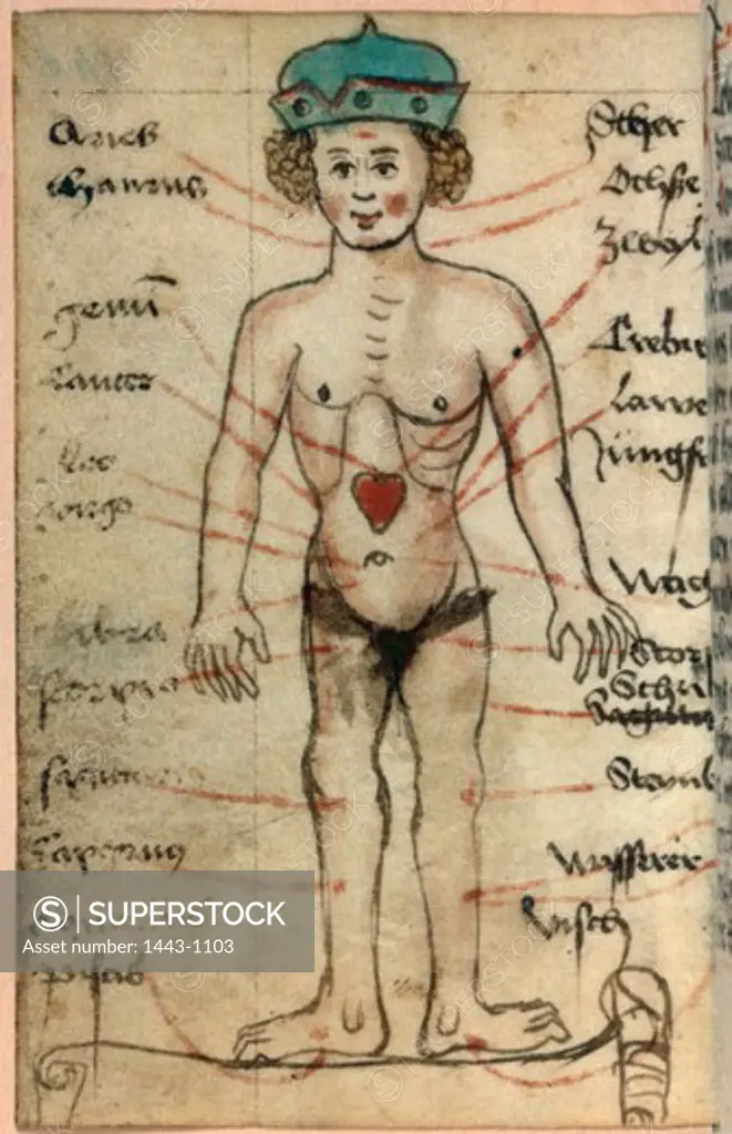 Bloodletting Mannequin (Depiction of How the Zodiac Influences Humans) 16th C. Artist Unknown Illuminated manuscript Bibliotheque Nationale, Paris, France