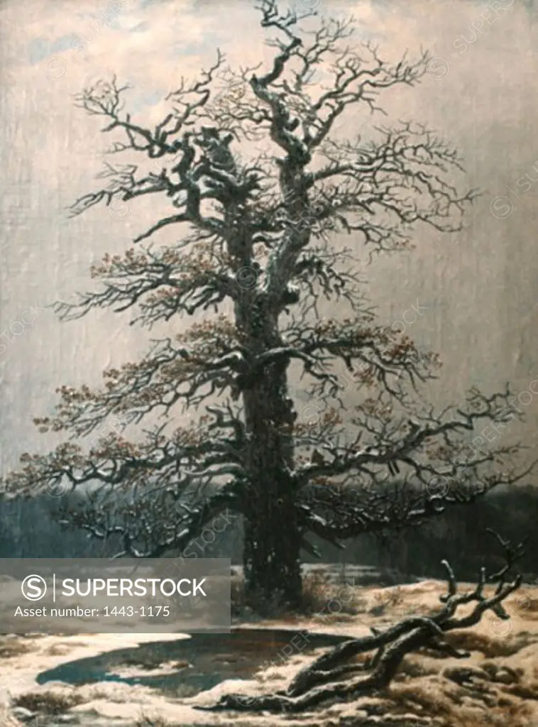 Oak Tree in the Snow  ca. 1827 Caspar David Friedrich (1774-1840 German) Oil on canvas Wallraf-Richartz Museum, Cologne, Germany