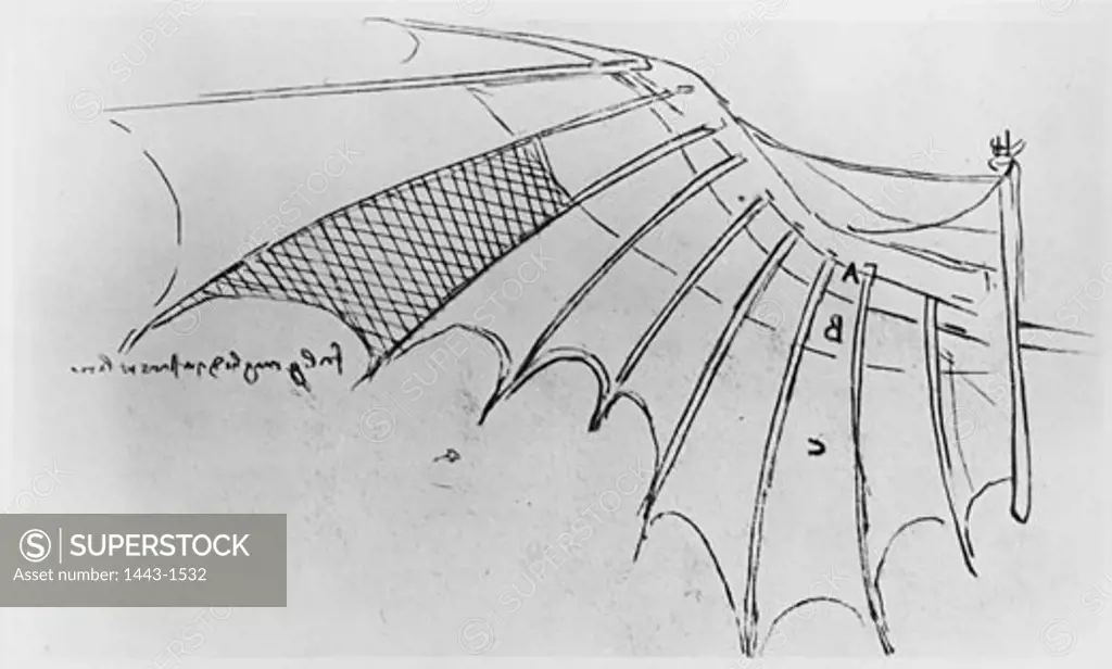 Design of a ribbed wing, partly covered with taffeta Leonardo da Vinci (1452-1519 Italian) Drawing Bibliotheque de l 'Institute de France, Paris
