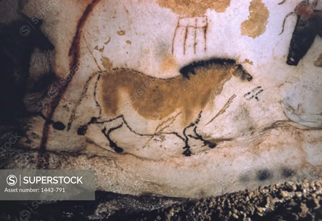 Lascaux Cave: Horse Artist Unknown  Rock painting Lascaux Caves, France