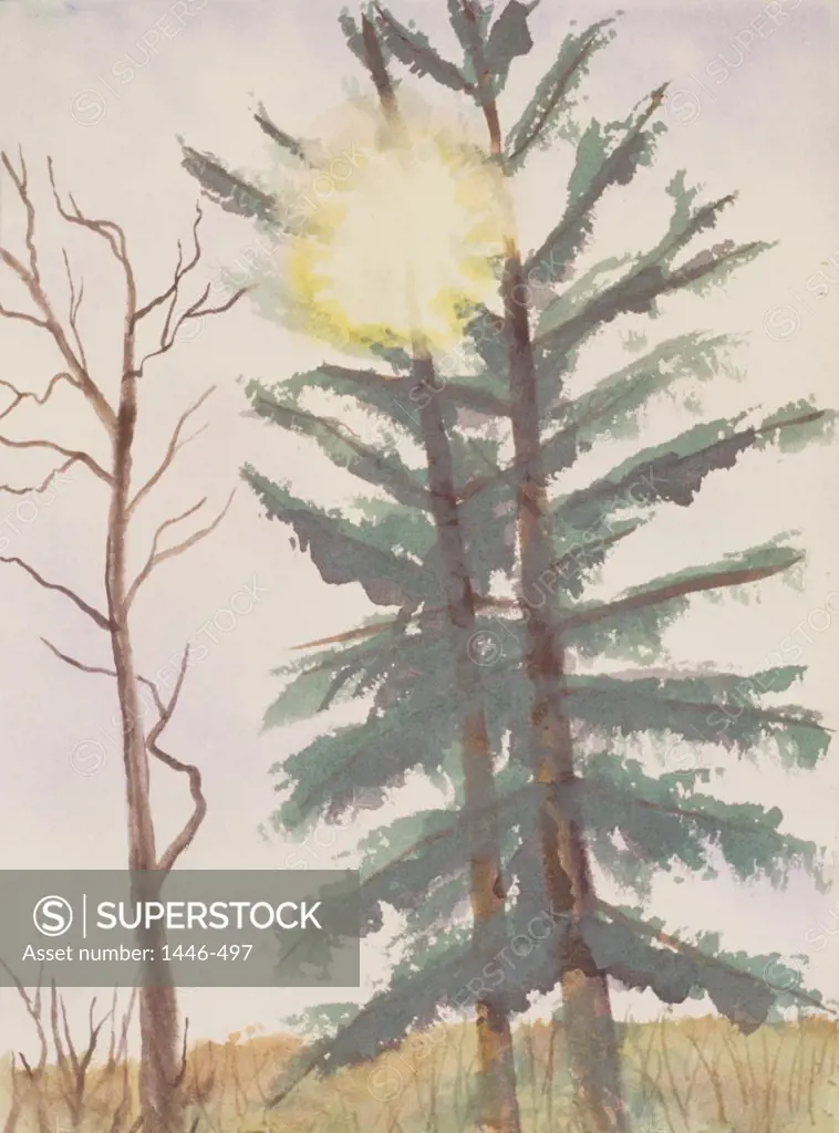 Sunburst Through Tree 2006 Erik Slutsky (20th C. Canadian) Watercolor on Paper