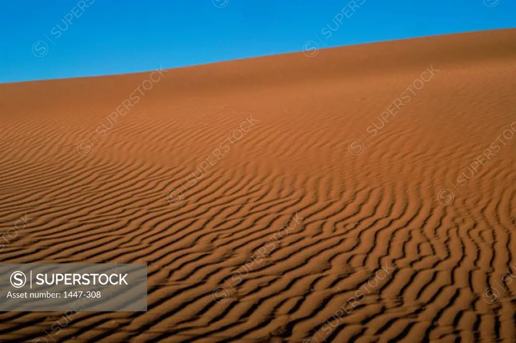 Sand dunes in a desert, Namib Rand Nature Reserve, Namibia