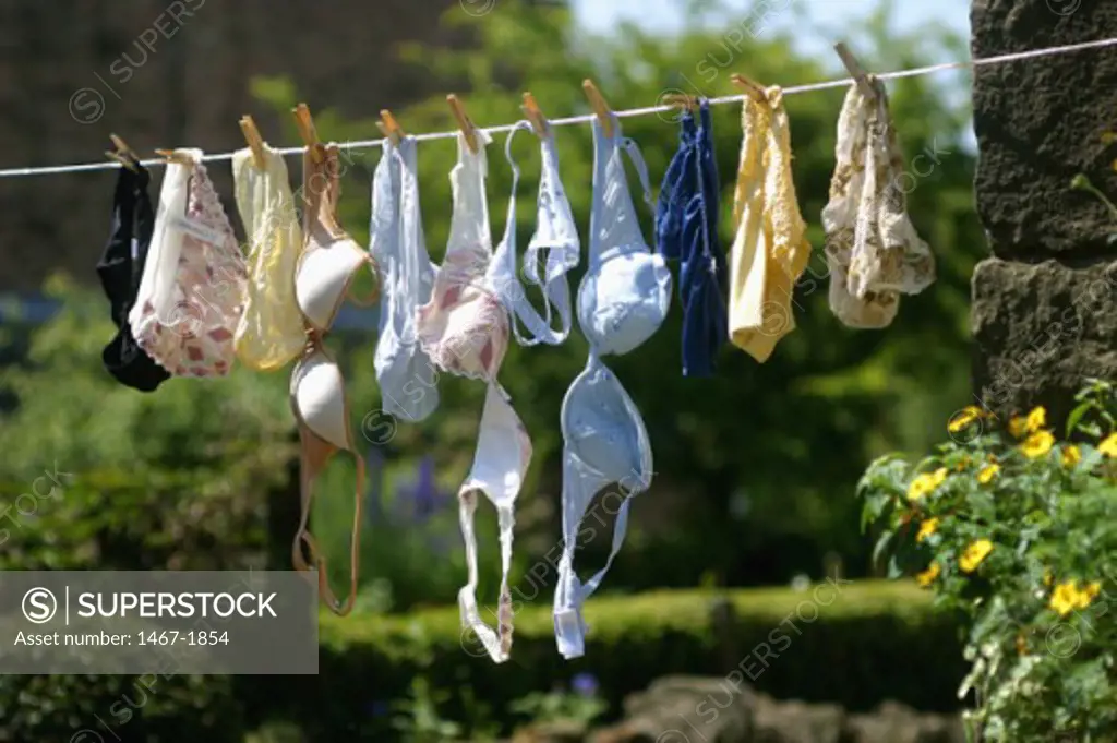 Close-up of undergarments hanging on a clothesline