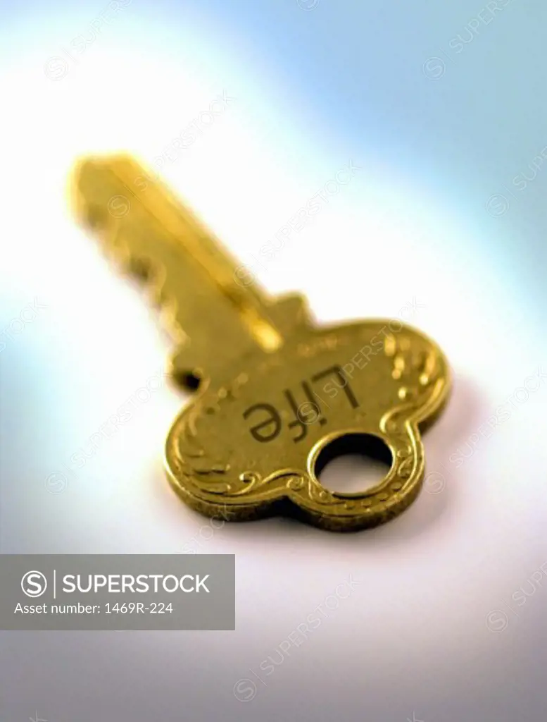 Close-up of a key