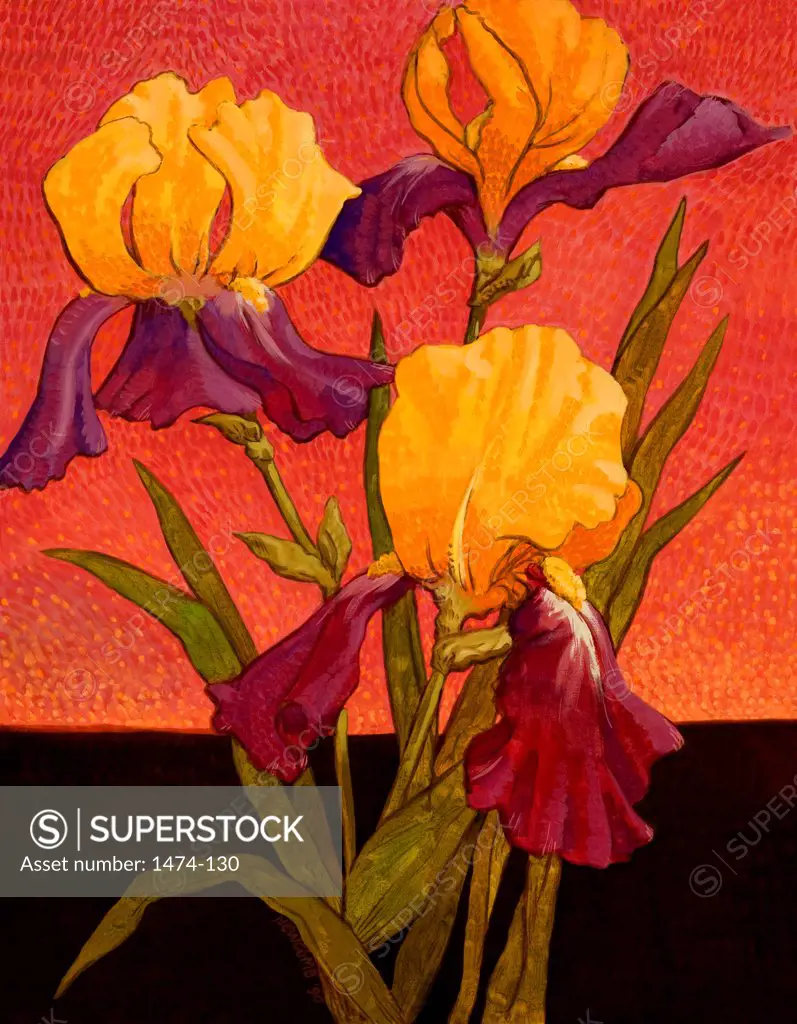 Two-toned Irises  John Newcomb, Casein, 1990