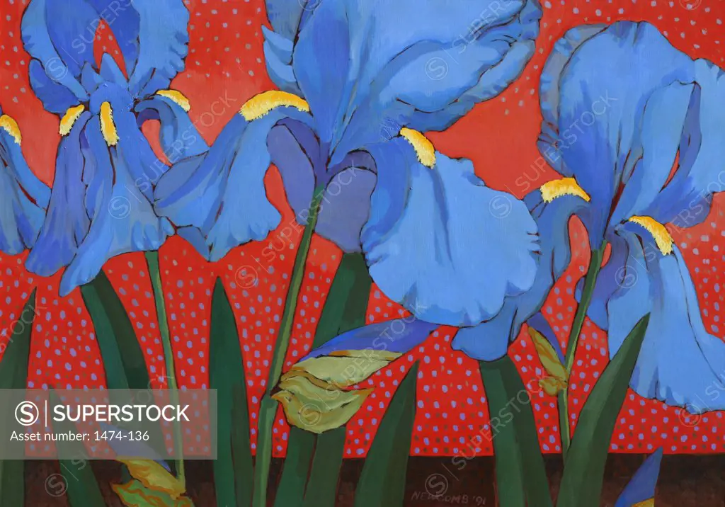 Irises and Red  John Newcomb, Casein, 1991
