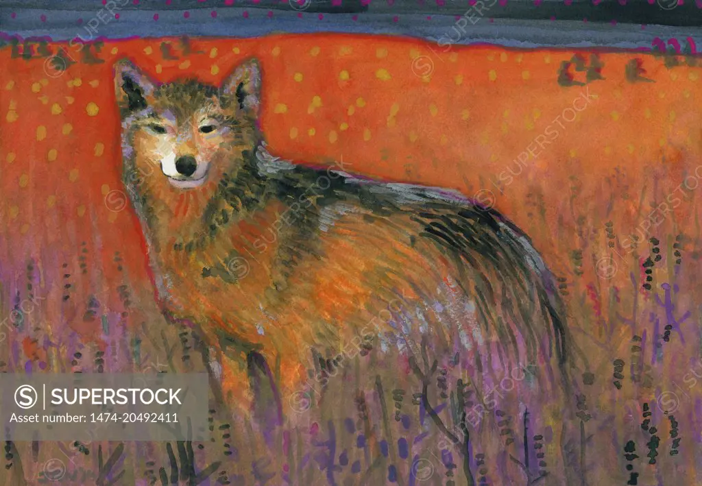 Timber Wolf, Alaska  John Newcomb, Watercolor, 2014
