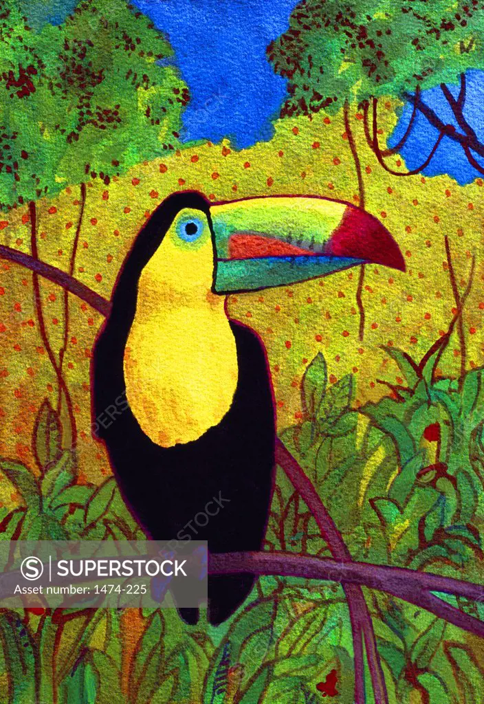 Toucan  John Newcomb, Watercolor, 2005