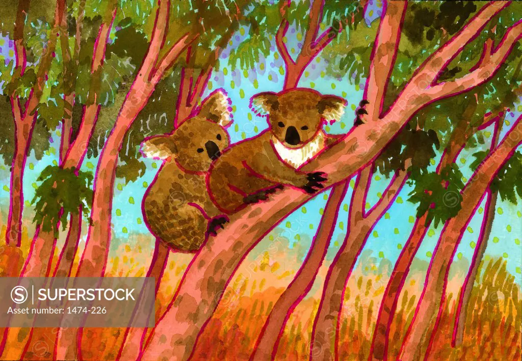 Koalas  John Newcomb, Watercolor, 2005