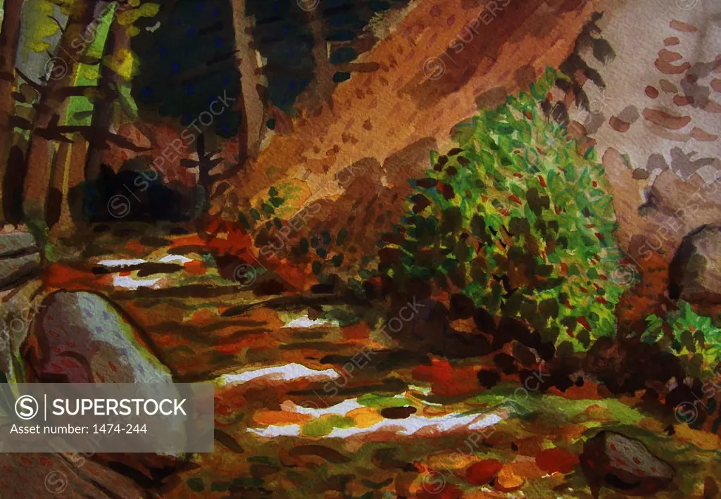 Brook in Kit Carson State Forest  John Newcomb, Watercolor, 1998