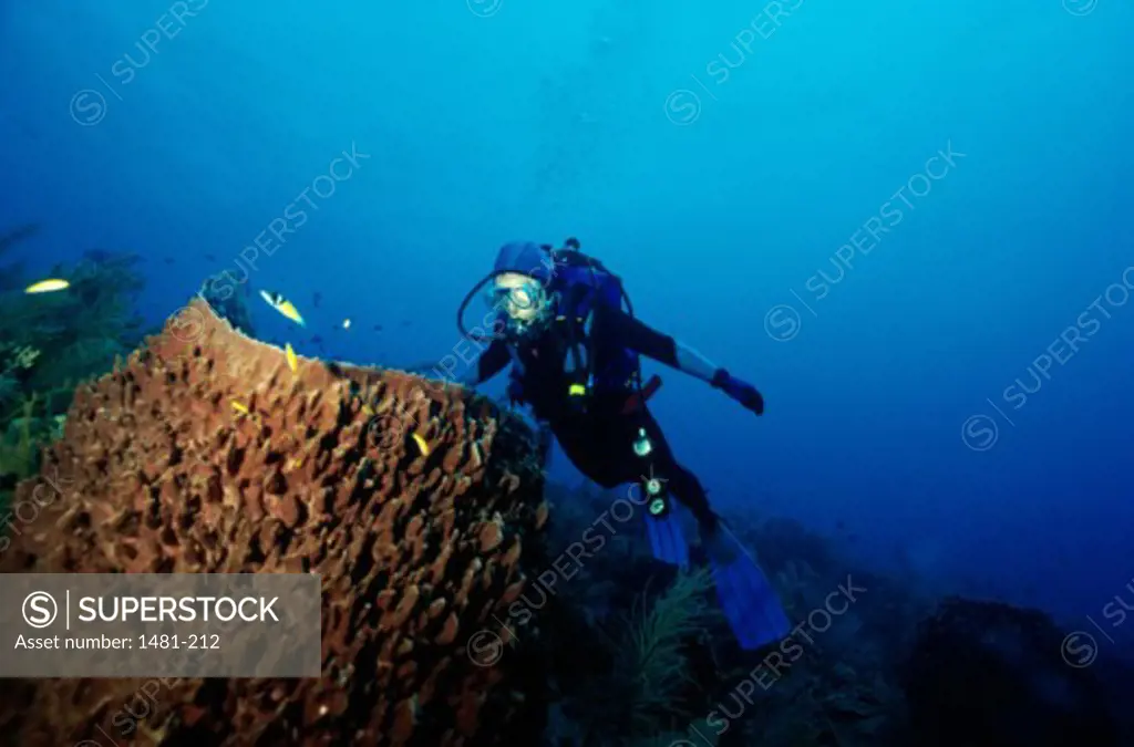 High angle view of a scuba diver underwater