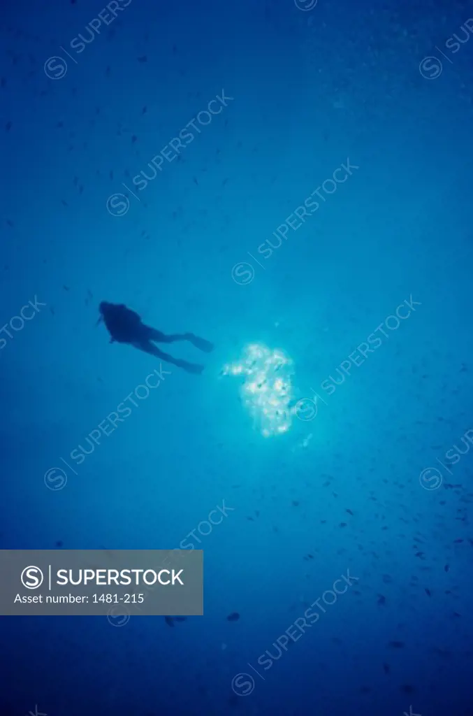 Silhouette of a scuba diver underwater