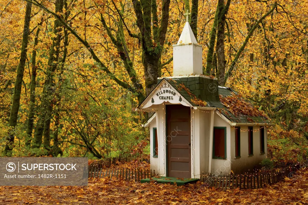 Facade of a chapel in a forest