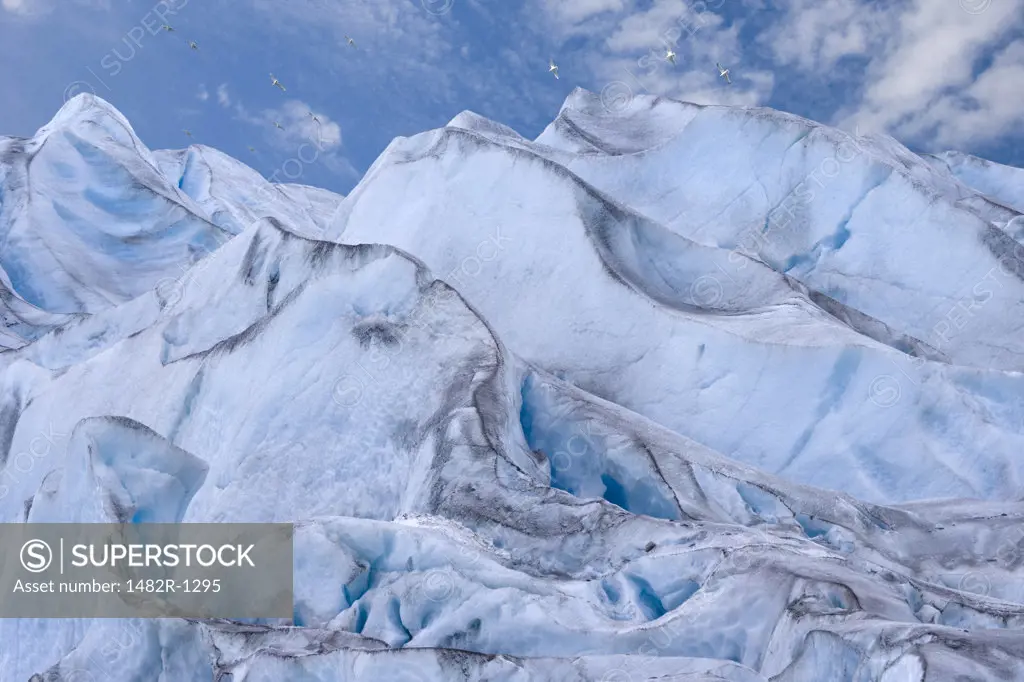 High angle view of a glacier, Reid Glacier, Glacier Bay National Park, Alaska, USA