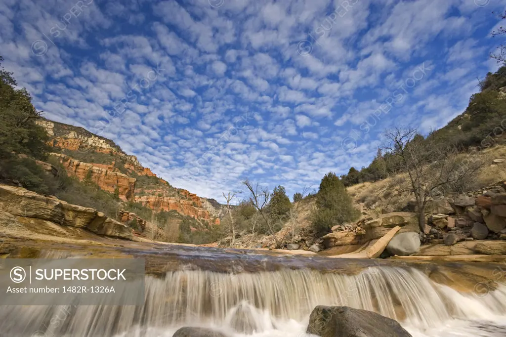 River flowing through a forest, Slide Rock State Park, Sedona, Oak Creek, Arizona, USA