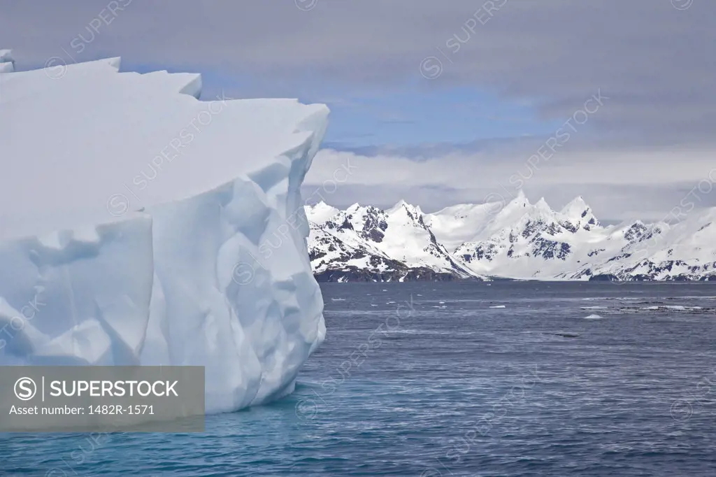 Iceberg in the sea, South Georgia Island, South Sandwich Islands