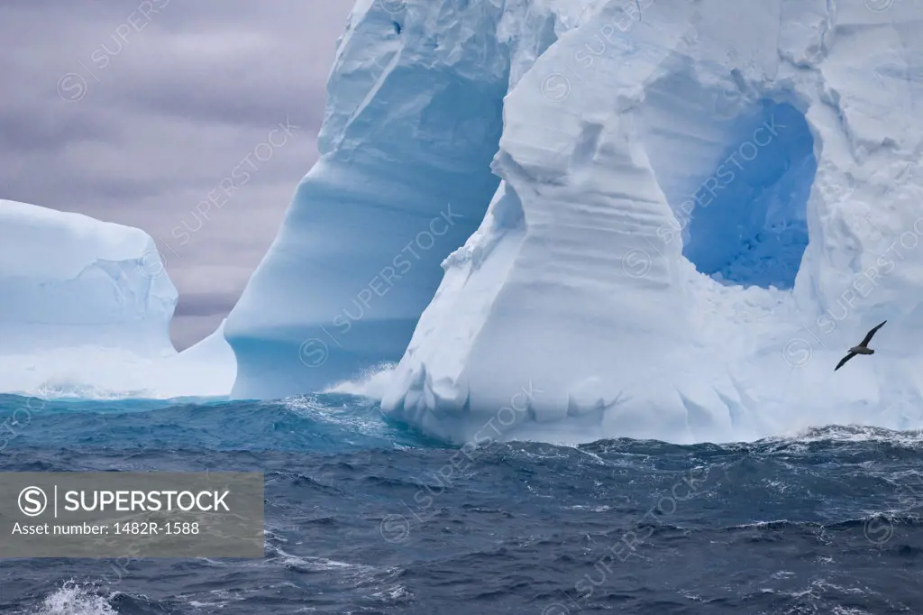 Iceberg in the sea, South Georgia Island, South Sandwich Islands