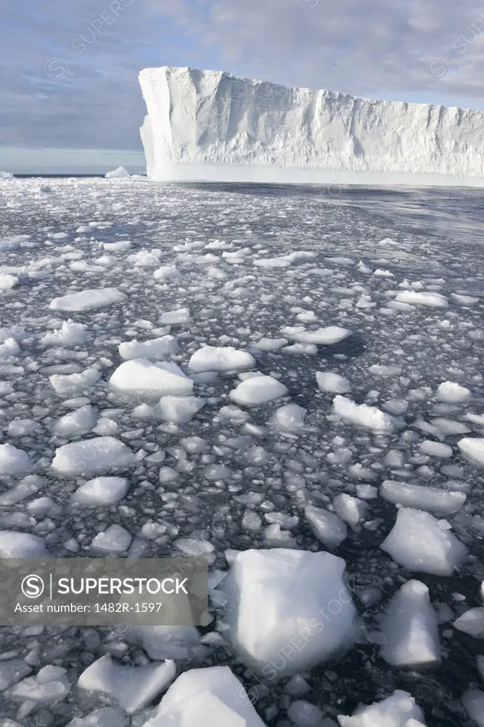 Ice floats floating in the sea, South Georgia Island, South Sandwich Islands 