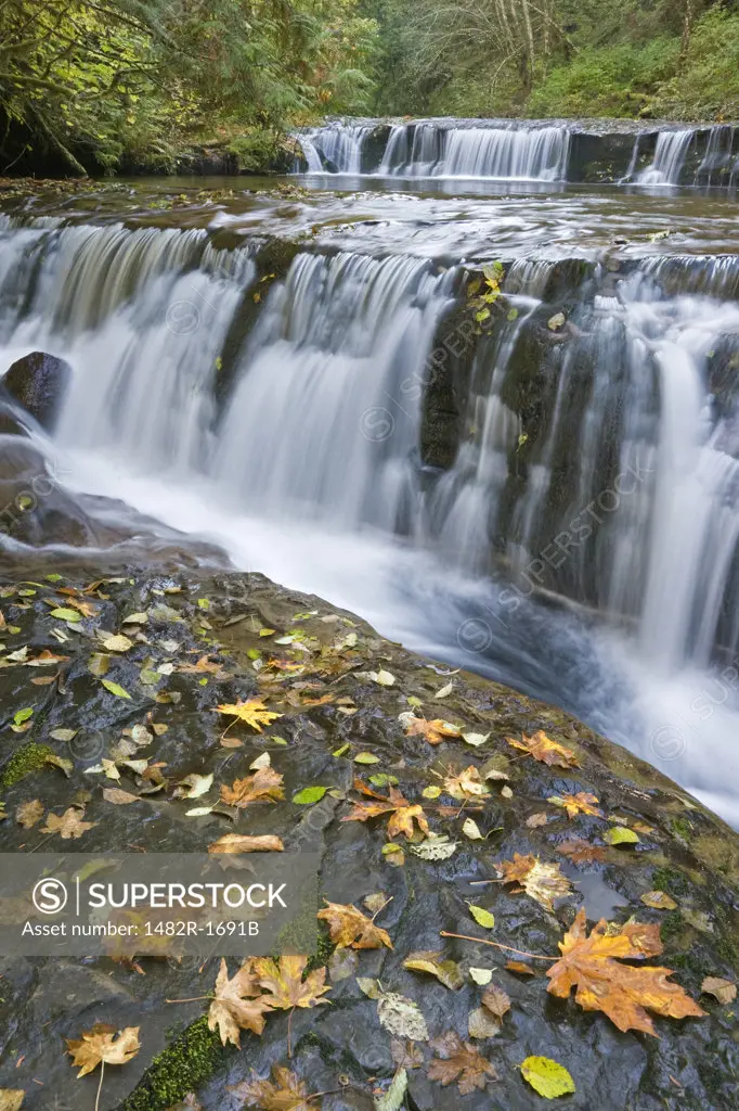 Waterfall in a forest, Sweet Creek Falls, Oregon, USA