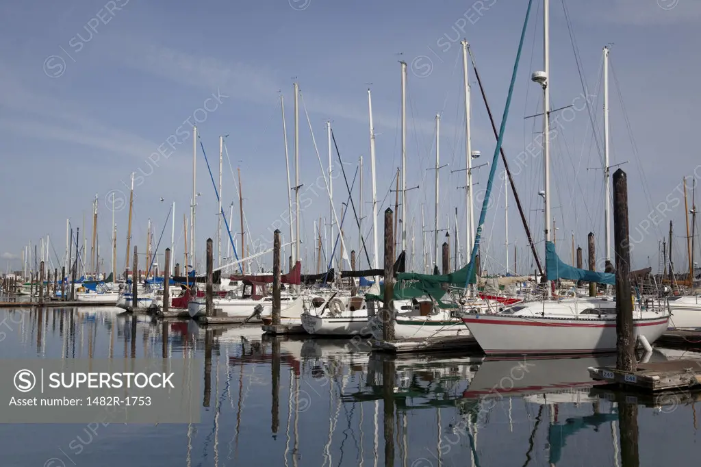 Sailboats at a dock, Port Townsend, Washington State, USA