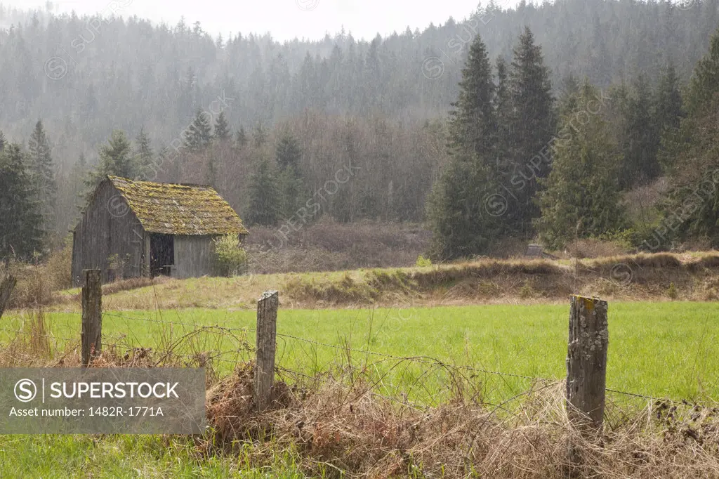 Barn in a field, Discovery Bay, Washington State, USA