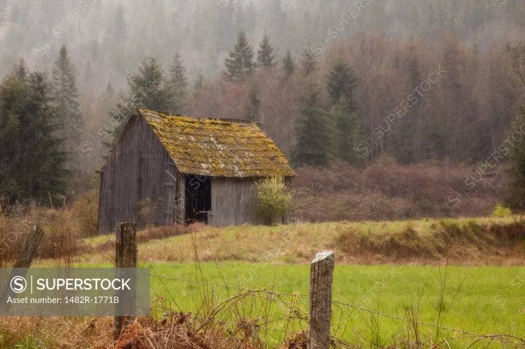 Barn in a field, Discovery Bay, Washington State, USA
