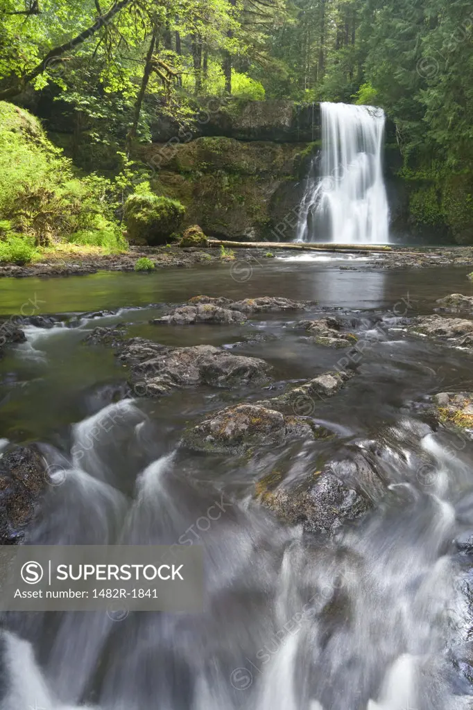Waterfall in a forest, Upper North Falls, Silver Falls State Park, Silverton, Oregon, USA