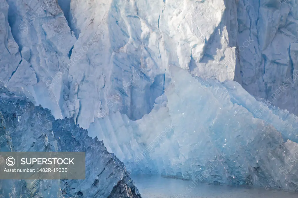 Iceberg floating on water, Reid Glacier, Glacier Bay National Park, Alaska, USA