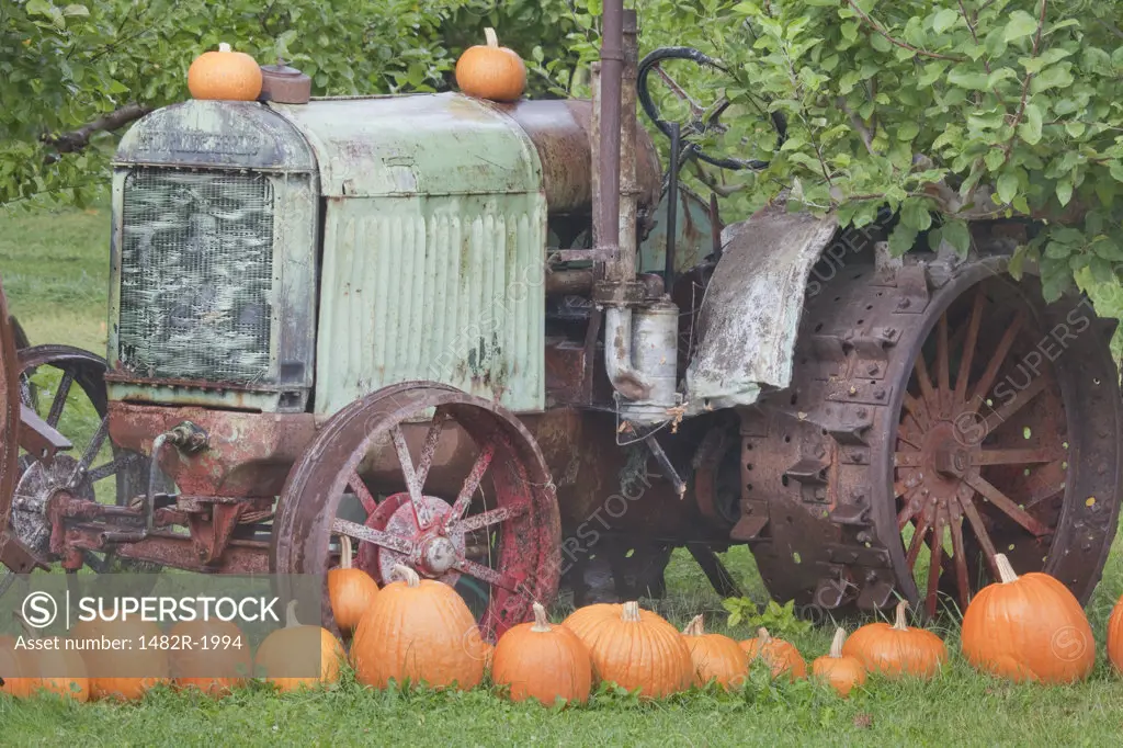 Old tractor with pumpkins in a field, Keremeos, British Columbia, Canada