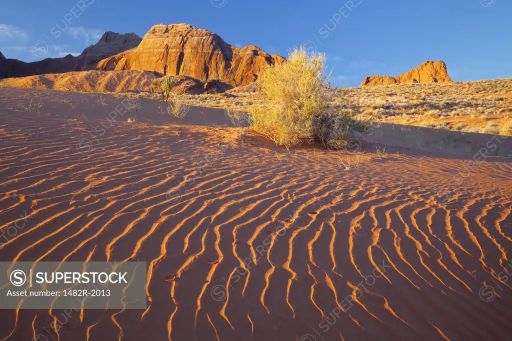 Sand dunes on an arid landscape, Glen Canyon National Recreation Area, Utah, USA