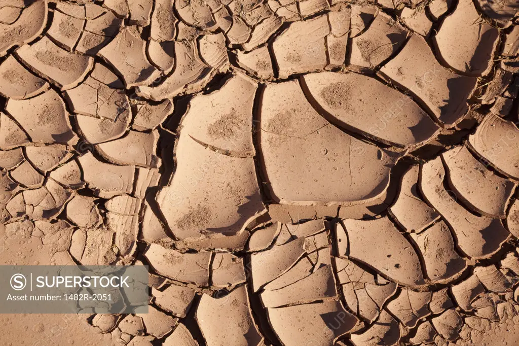 High angle view of cracked mud, Paria River, Utah, USA