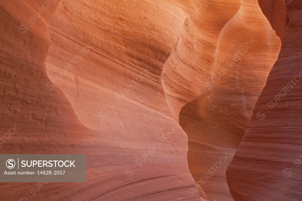 Slot canyon, Lower Antelope Canyon, Antelope Canyon, Page, Arizona, USA
