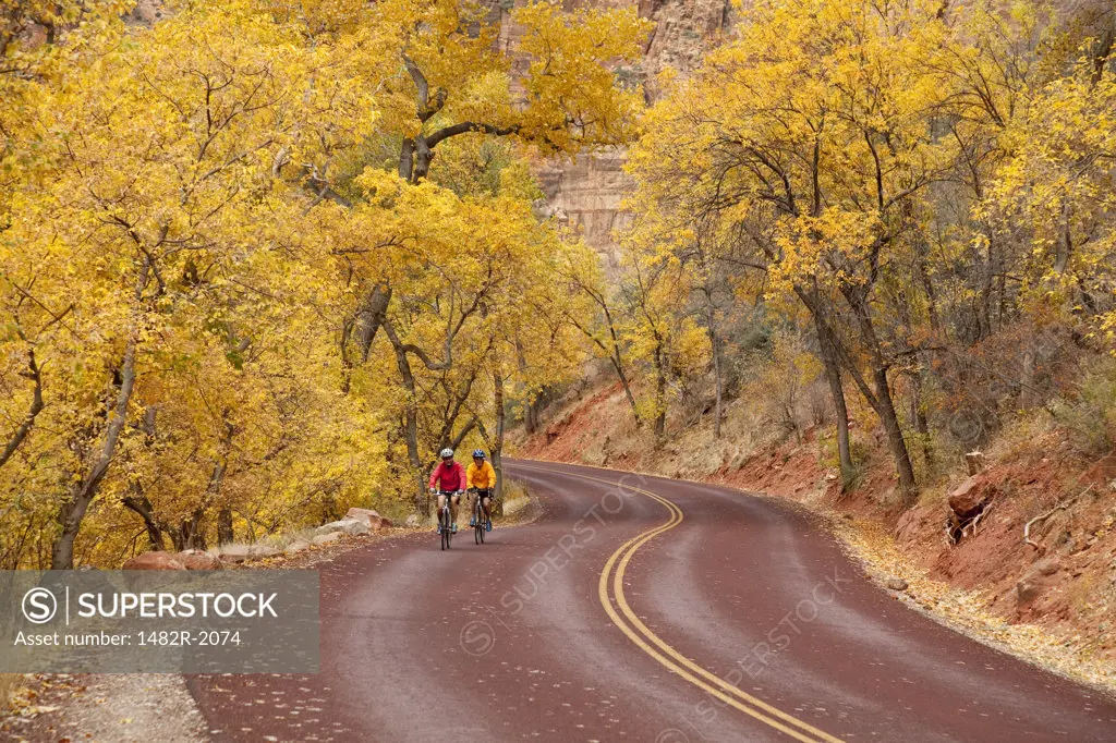 Two cyclists in a cottonwood forest, The Grotto, Zion National Park, Utah, USA