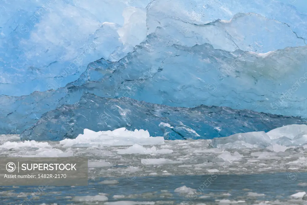 Icebergs, Endicott Arm, Alaska, USA