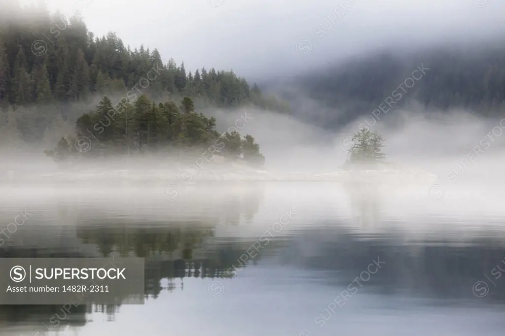 Reflection of trees in water during fog, Great Bear Rainforest, British Columbia, Canada