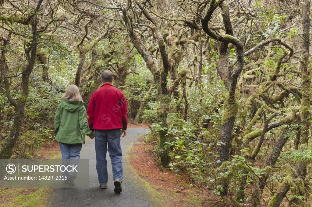 USA, Oregon, Carl G. Washburne Memorial State Park, Couple walking on trail to beach