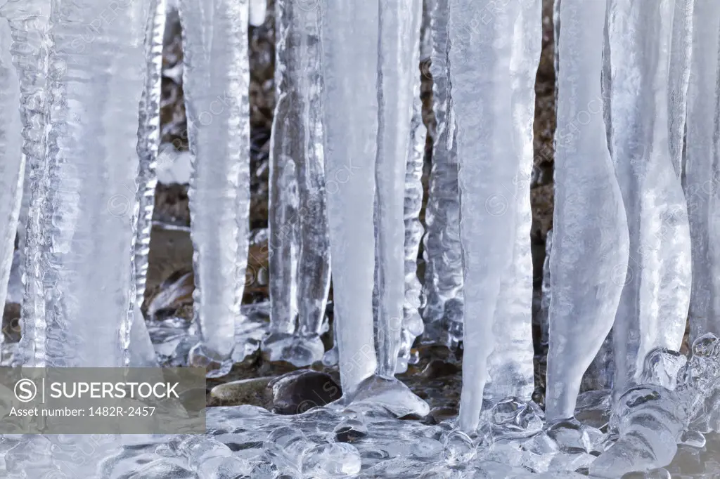 Close-up of Icicles formation