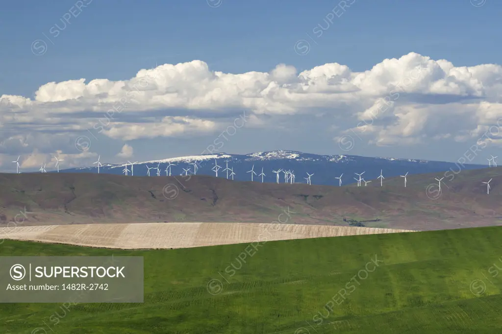 USA, Oregon, Wasco, Farm fields with wind turbines