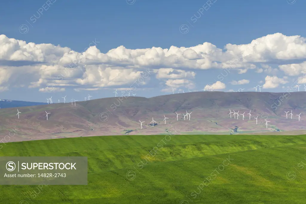 USA, Oregon, Wasco, Farm fields with wind turbines