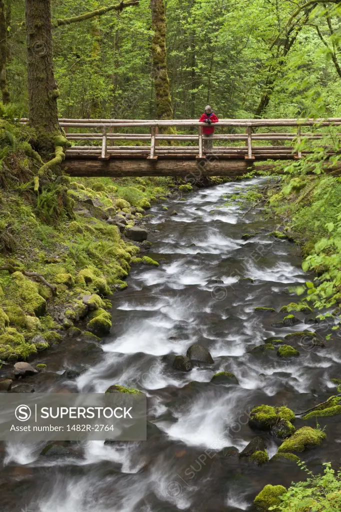USA, Oregon, Columbia River Gorge, Gorton Creek, Woman standing on footbridge in forest