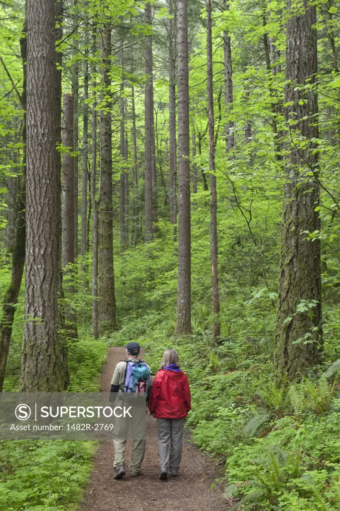 USA, Oregon, Columbia River Gorge, Elowah Falls Trail, People walking through forest
