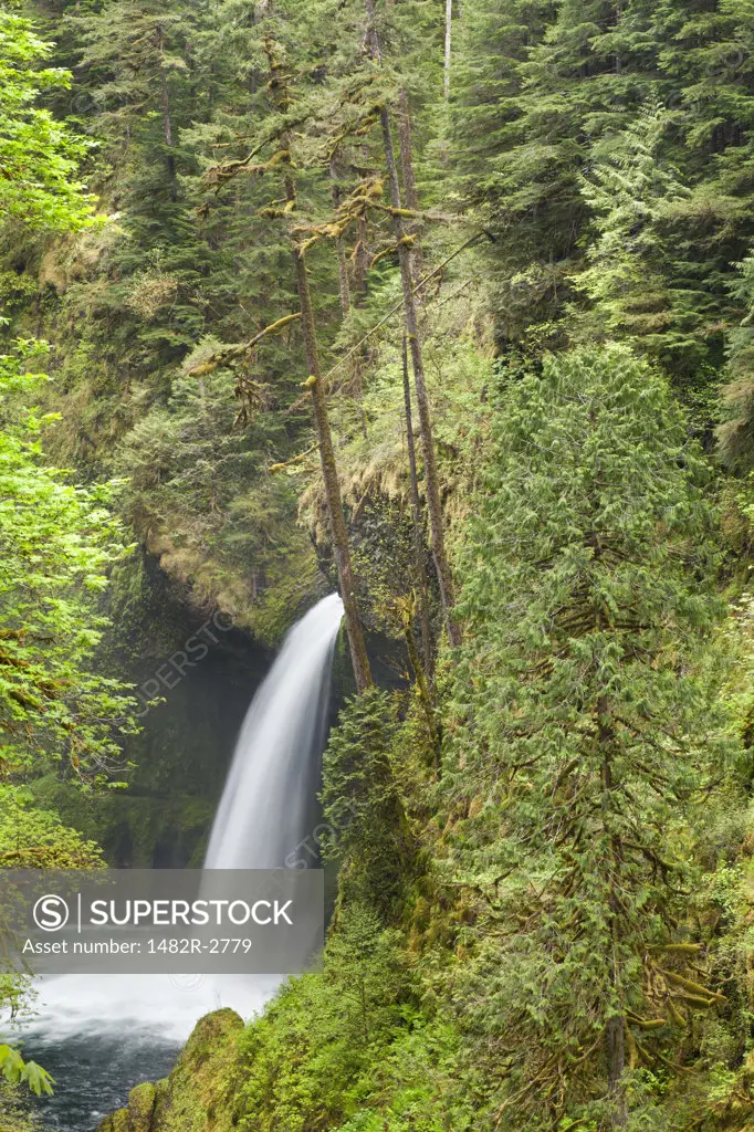 USA, Oregon, Columbia River Gorge, Eagle Creek Trail, Metlako Falls, View of waterfall